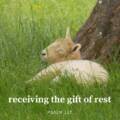 Receiving the Gift of Rest