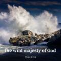 The Wild Majesty of God