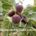 Staying Alert to God’s Coming