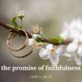 The Promise of Faithfulness